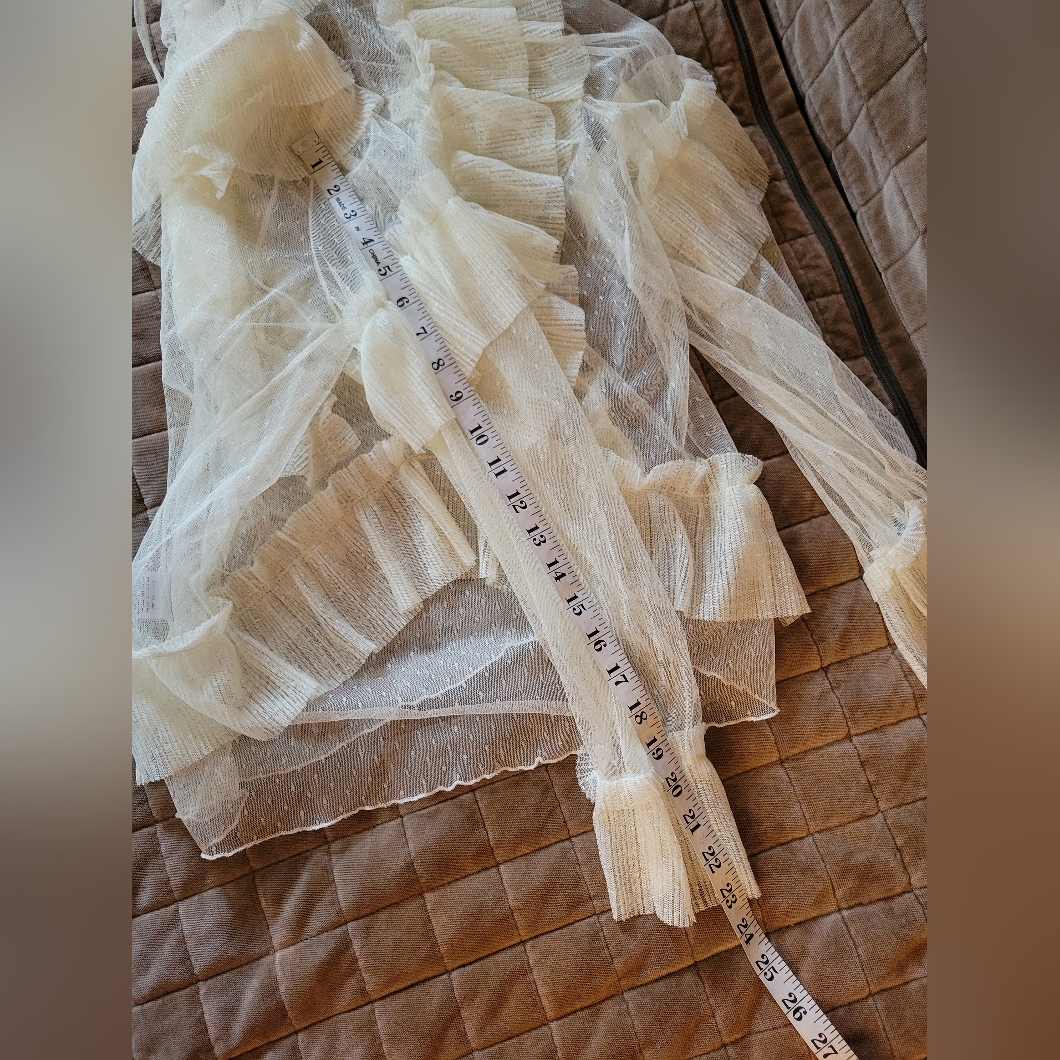 Cottagecore Vintage Style Sheer Frilly Top — image 8 of 8